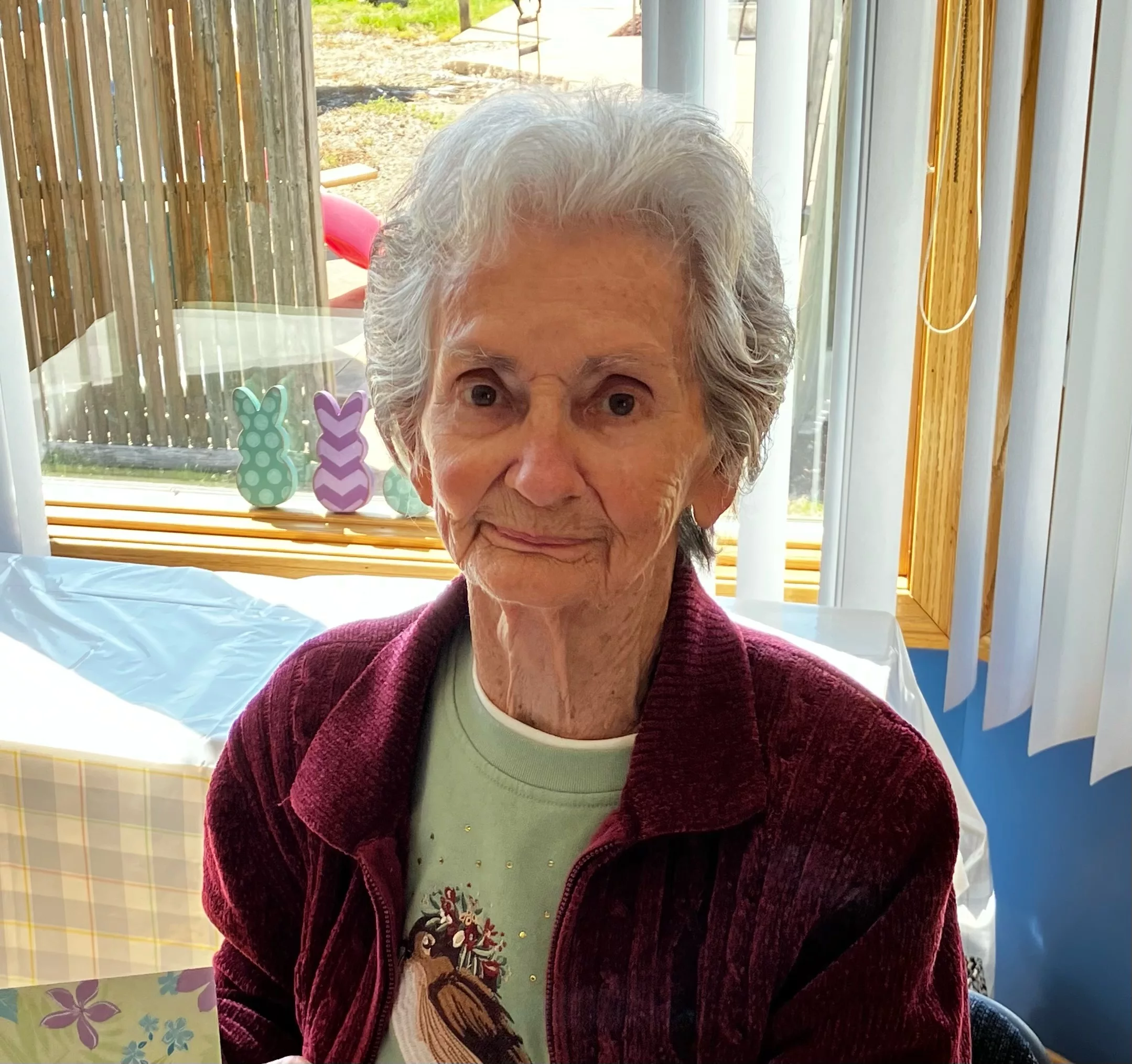 mary-e-payne-blood-picture