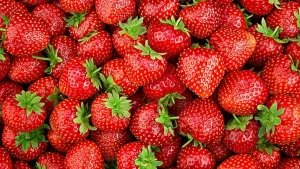 strawberry-3-jpeg
