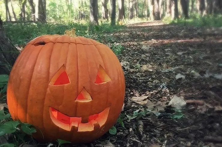 Carlyle Lake Haunted Trail