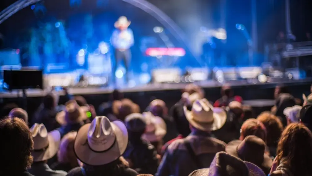 Audience at the Huercasa Country Festival 2017 in Riaza^ Segovia^ Spain^ enjoying live country music performances with a festive atmosphere.