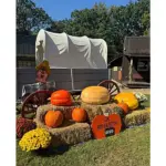 jchs-heritage-festival-2025-jpeg