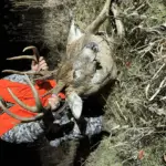 Trevor Alexander: After a slow first firearm season I was waiting colder temperatures. Thursday night of second firearm season was cold enough. It got this deer on his feet early and headed to food. He was the first deer in the field that night. He also turned out to be my biggest buck with a firearm.