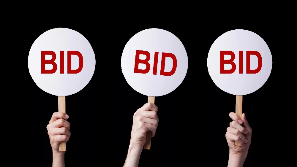auction-bid-3-1-jpeg-3