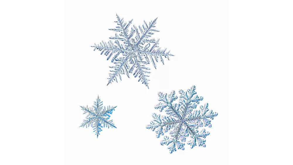 snowflakes-2-jpeg