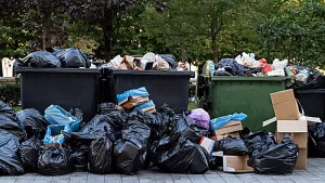 cleanup-3-jpeg-9
