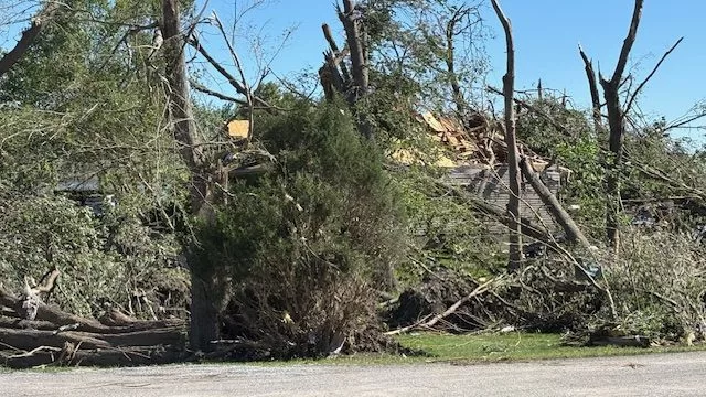 Tree Debris Removal from Friday's Tornado Begins in Williamson County ...