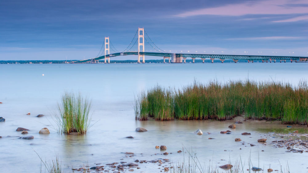 shutterstock_1497758159204898