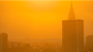 shutterstock_162156467211719