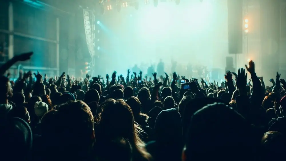 Musical concert. Music festival. People in the concert hall at the disco . Singer in front of the audience. Fans at the concert. Blurred image / blurred photo.