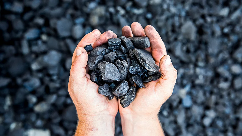 coal-in-hands-1-jpeg