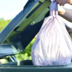 trash-3-jpeg-4