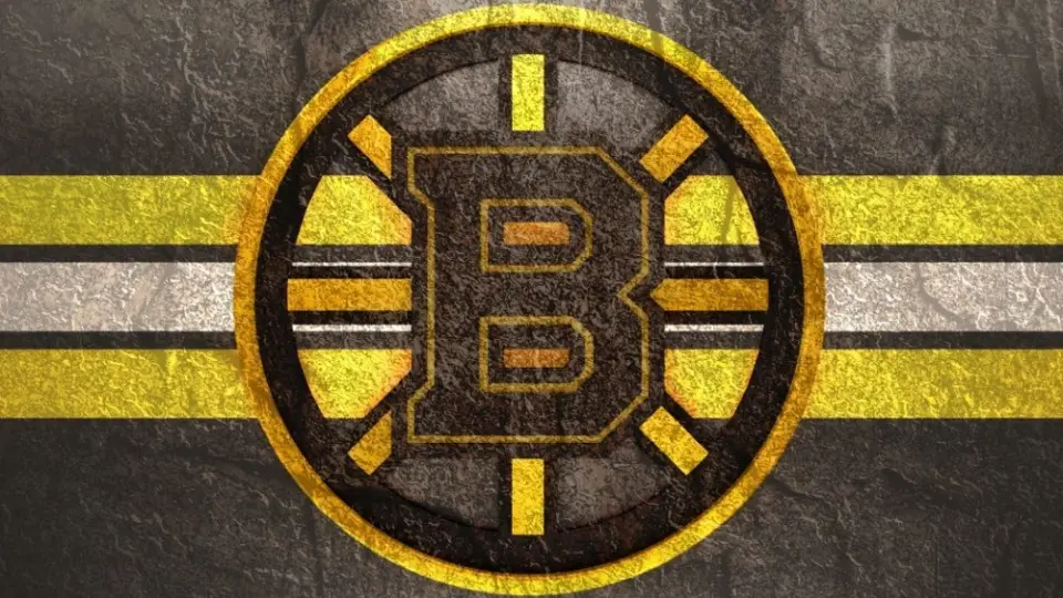 Emblem of the Boston Bruins. The Boston Bruins are a professional ice hockey team. Logo for presentation or infographics.