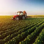 tractor-in-field-jpeg