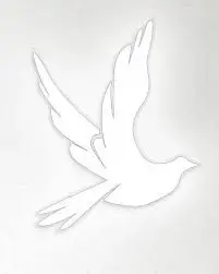 dove-jpg