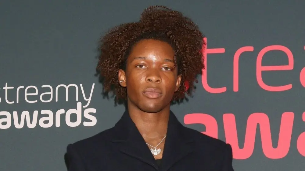 D4vd (David Anthony Burke) at the 2023 Streamy Awards - Arrivals at the Century Plaza Hotel on August 27^ 2023 in Century City^ CA
