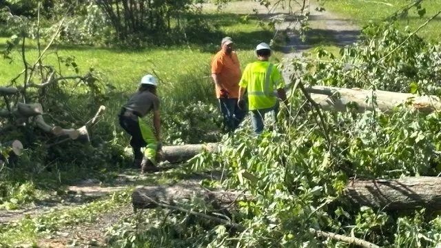 Williamson Co. Hwy. Dept. to Help Remove Tree Debris | WDDD-FM