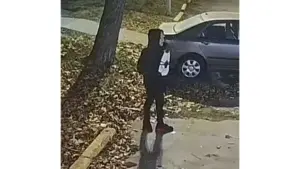 cdale-biz-burglaries-jpeg