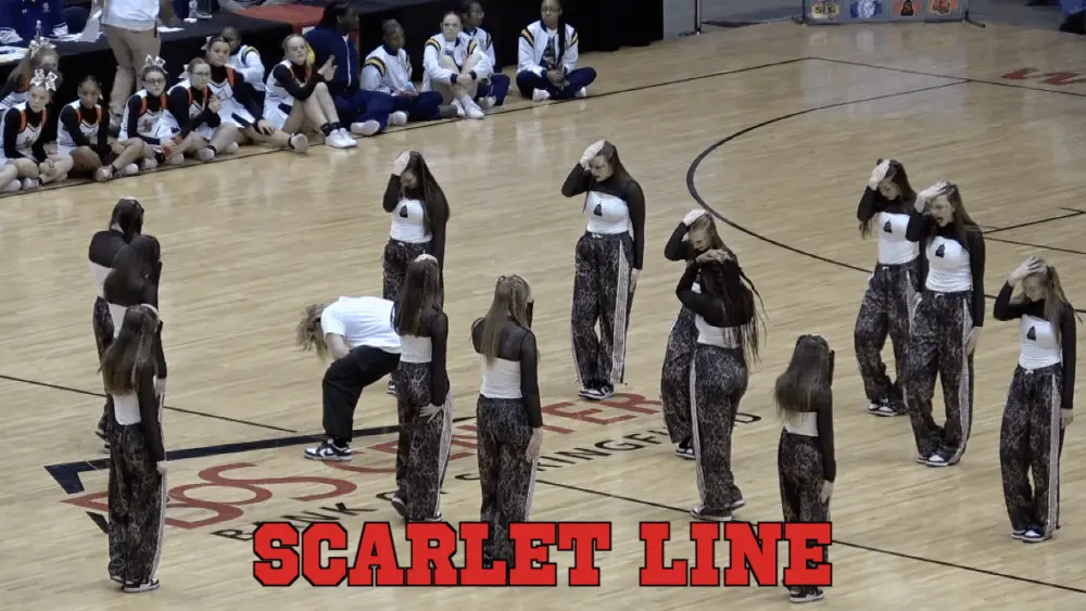 springfield-high-poms-4