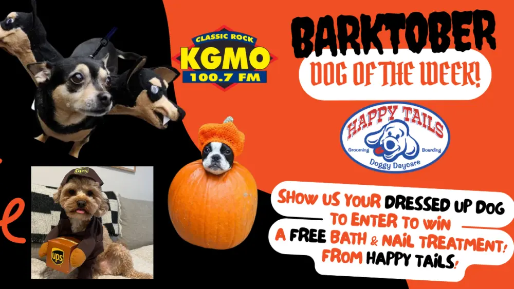 barktober