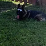 Majka: Shes 3 years old, and shes defenitely a talker! Best friend ever, strangers beware!! lol
