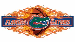 Florida Gators basketball logo with basketball and flames and put them in a border in a row