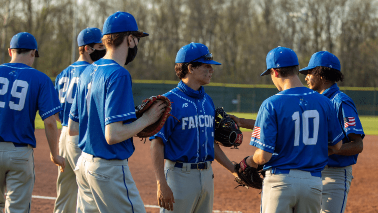 falcons-3