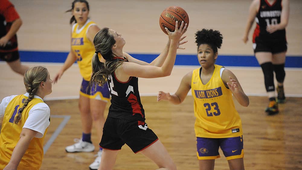 livingston-girls-basketball