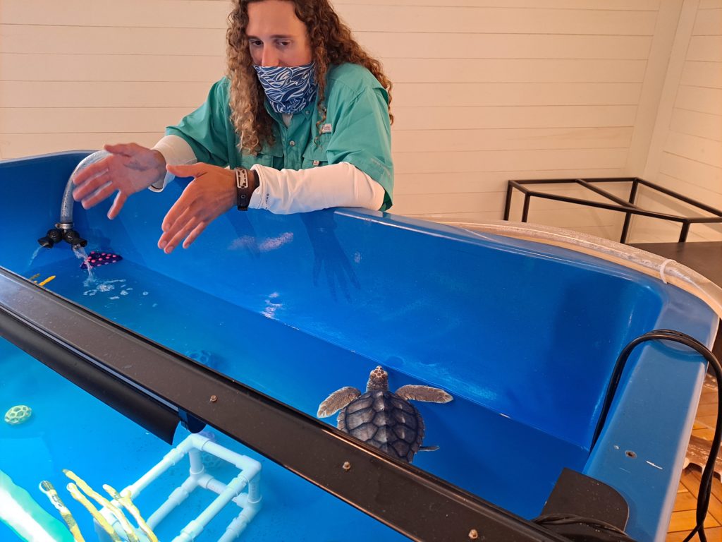 Tybee Island Marine Science Center different way to spend time at the beach Your Sports Edge 2021