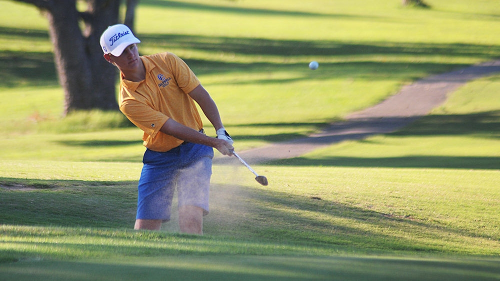 collin-whittington-12