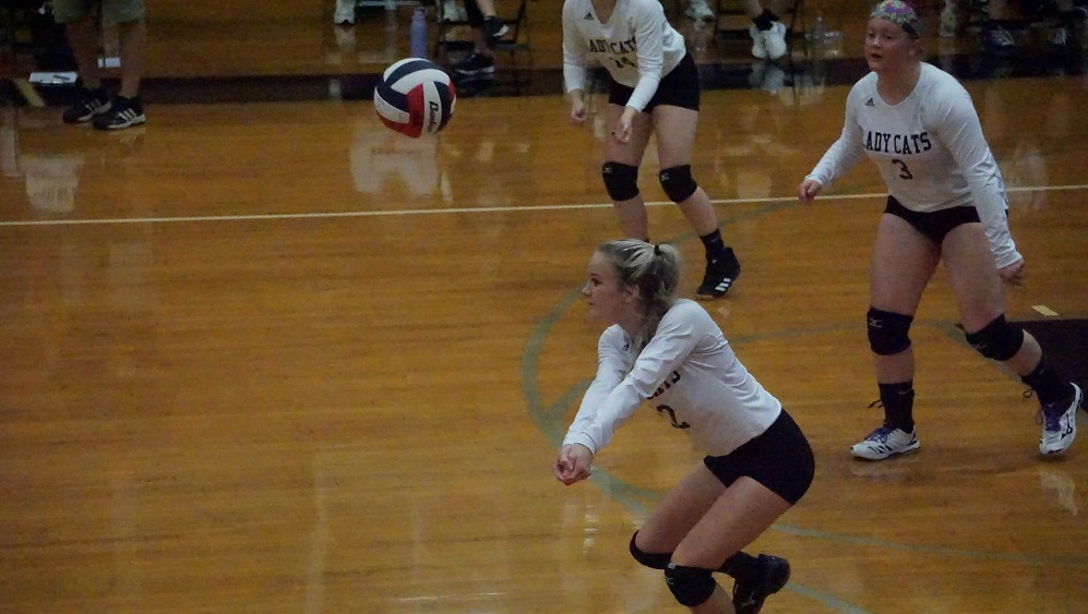 242855963_10159876916874664_8204188443265629076_n