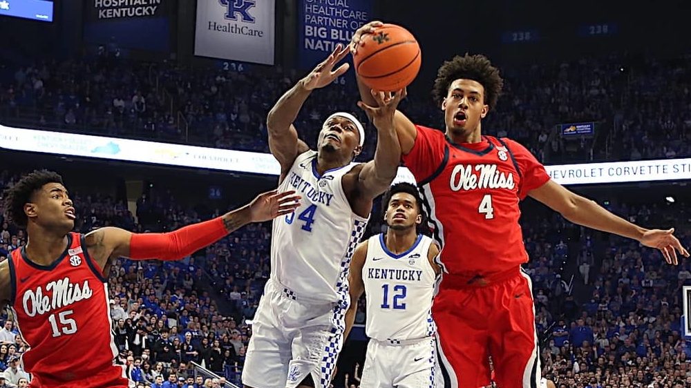 oscar-tries-for-a-board