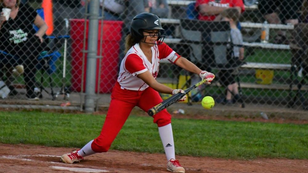 dsc_4084-1024x635