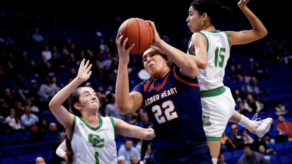 screenshot-2023-03-10-at-5-56-42-pm