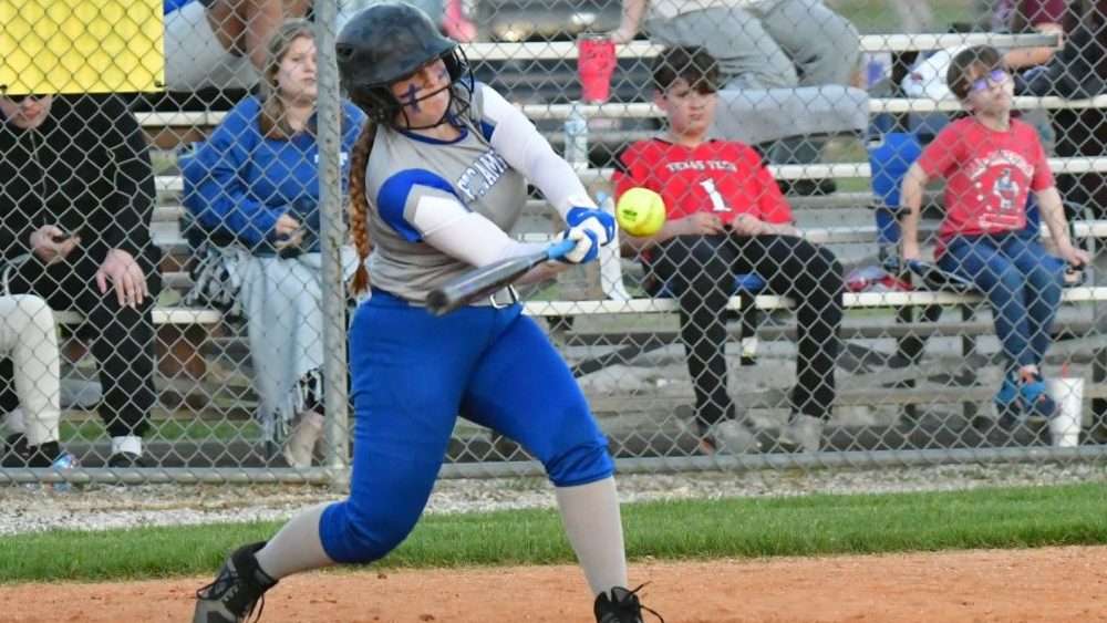 dsc_0342-1024x650