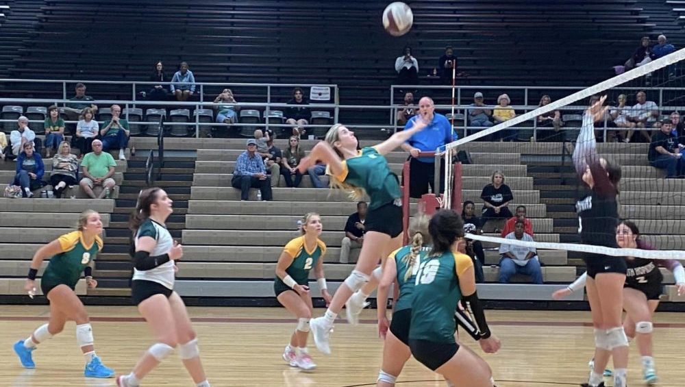 375798332_784053130383316_5024416666393813053_n