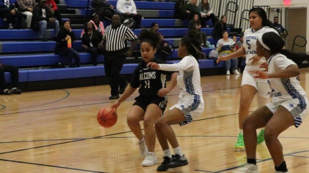 lady-falcons-nhc-33-2