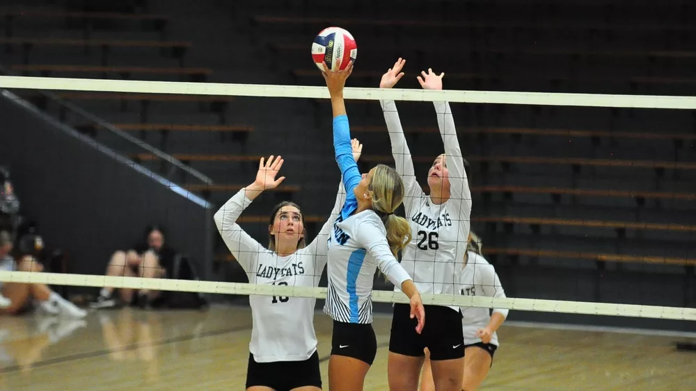 webp-net-resizeimage-2024-08-22t232839-750