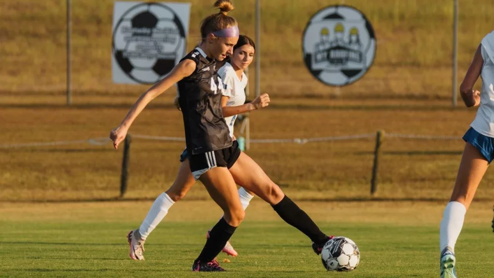 lady-wildcats-lady-falcons-19-2