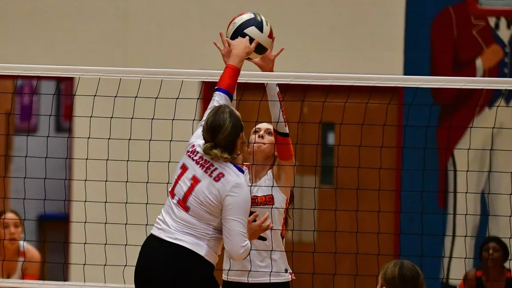 webp-net-resizeimage-2024-09-09t182031-264