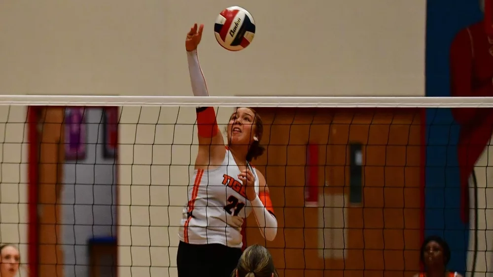 webp-net-resizeimage-2024-09-09t190608-274