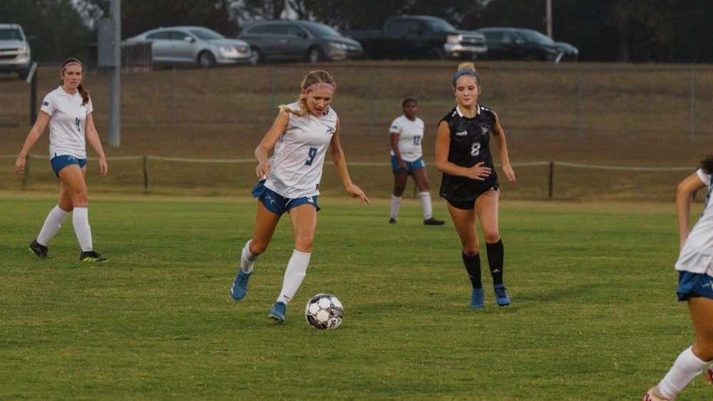 lady-falcons-lady-wildcats-4-2