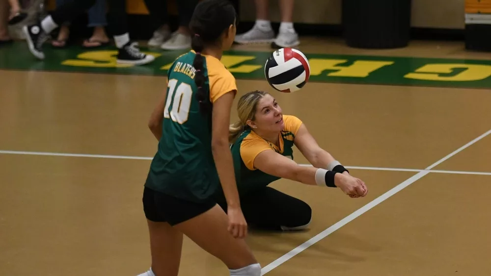 webp-net-resizeimage-2024-09-12t231946-790