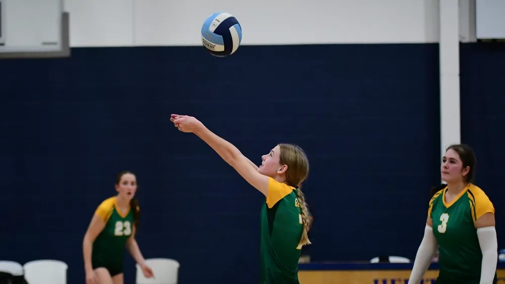 webp-net-resizeimage-2024-09-17t173859-056