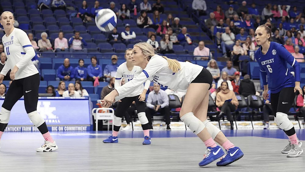 screenshot-2024-10-11-at-8-51-53-pm