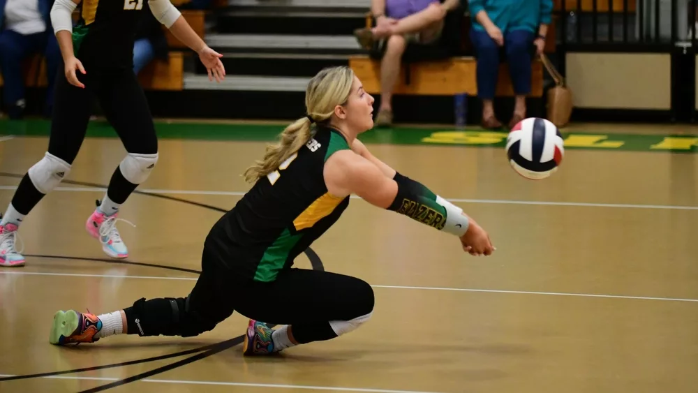webp-net-resizeimage-2024-10-14t140104-567