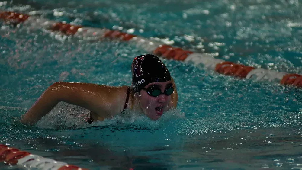 madville-swimming