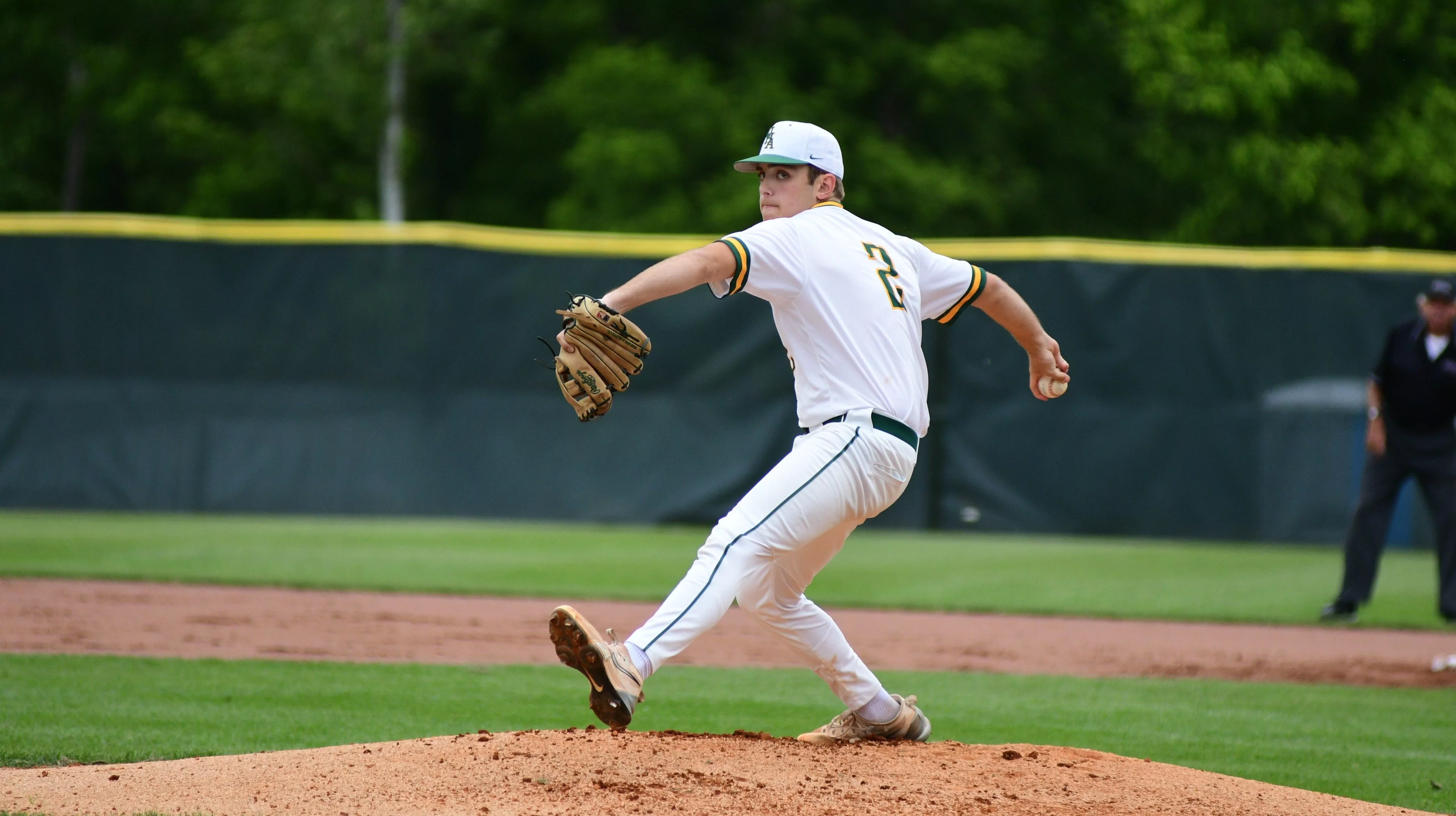 trigg-livingston-district-title2540