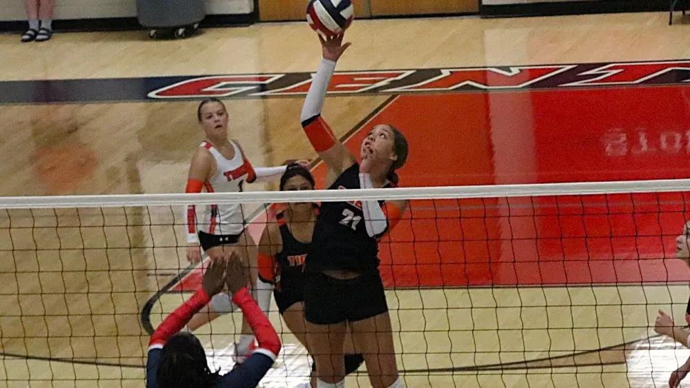hoptown-hop-cent-24-2