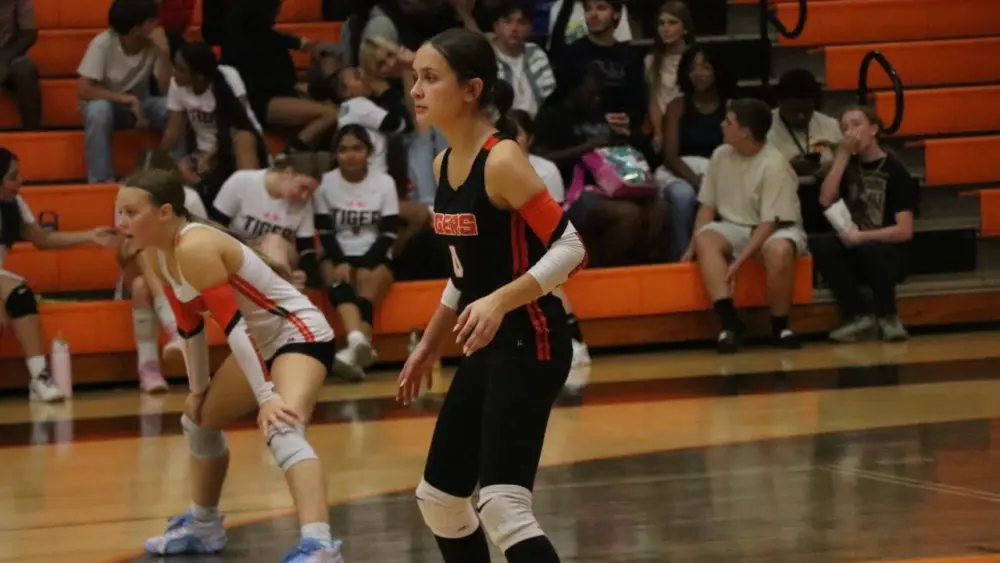 hopkinsville-todd-vb-17-2