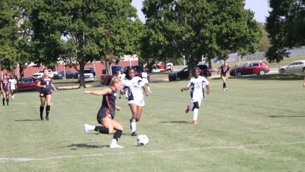 hhs-19-2